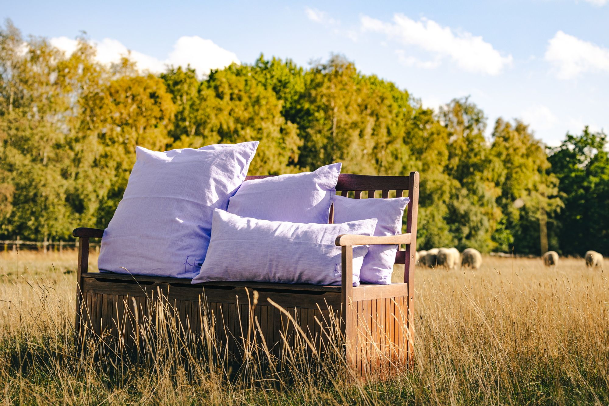 Wollkissen in Flieder auf einer Holzbank, im Hintergrund weiden Rhönschafe
